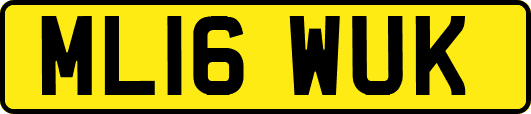 ML16WUK