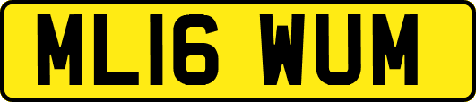 ML16WUM