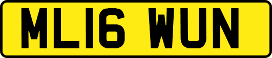 ML16WUN