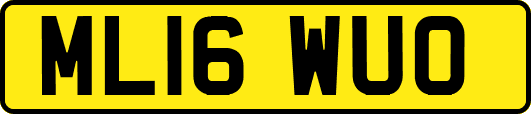 ML16WUO