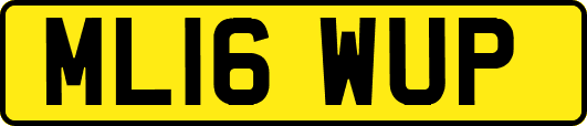 ML16WUP