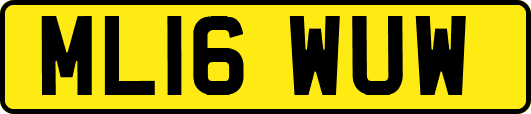 ML16WUW