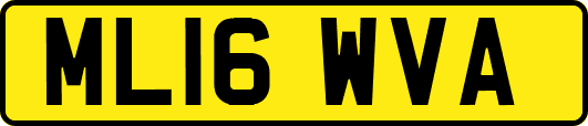 ML16WVA