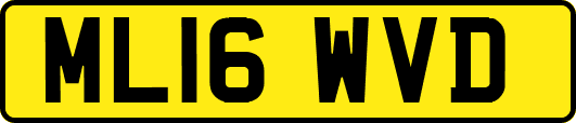ML16WVD