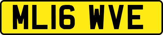 ML16WVE