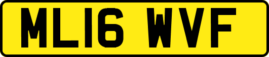 ML16WVF