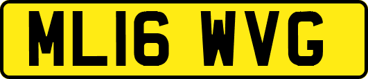 ML16WVG