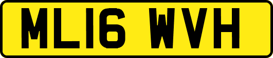 ML16WVH