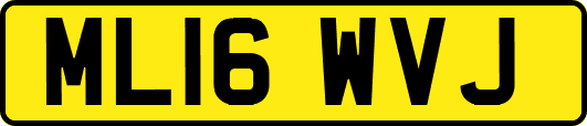 ML16WVJ