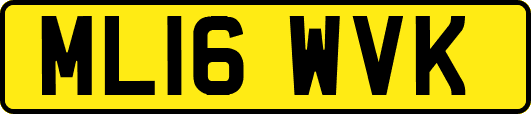 ML16WVK