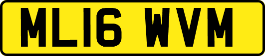 ML16WVM