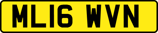 ML16WVN