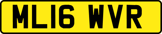 ML16WVR