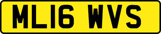 ML16WVS