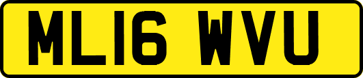 ML16WVU