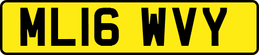 ML16WVY