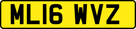 ML16WVZ