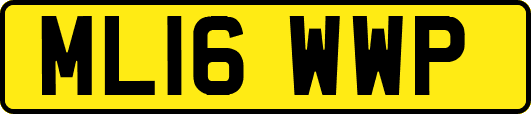 ML16WWP