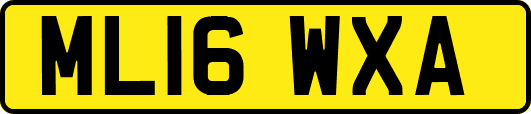ML16WXA