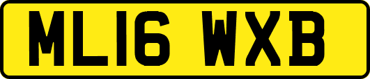 ML16WXB