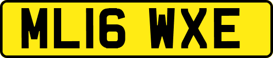 ML16WXE