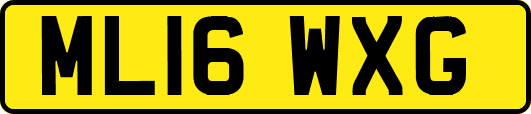 ML16WXG