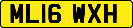 ML16WXH