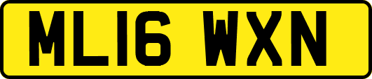 ML16WXN