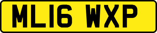 ML16WXP