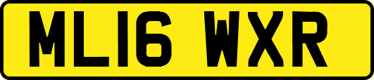 ML16WXR