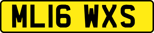 ML16WXS