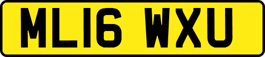 ML16WXU