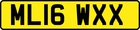 ML16WXX