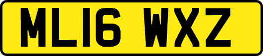ML16WXZ