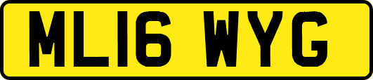ML16WYG