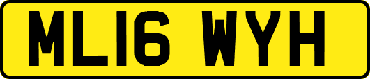 ML16WYH