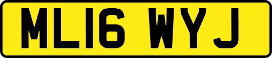 ML16WYJ