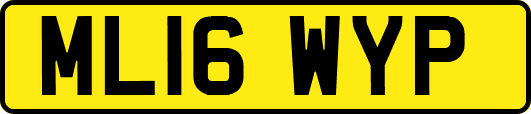 ML16WYP