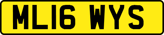 ML16WYS