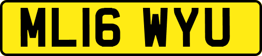 ML16WYU