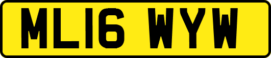 ML16WYW