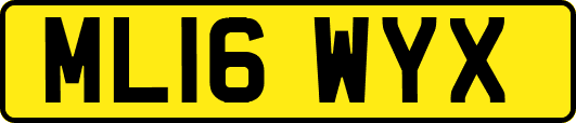 ML16WYX