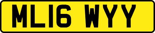ML16WYY
