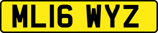 ML16WYZ