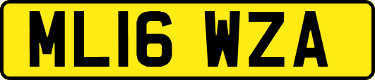 ML16WZA