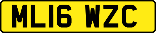 ML16WZC