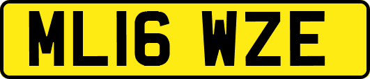 ML16WZE