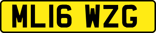 ML16WZG