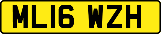ML16WZH