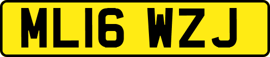 ML16WZJ